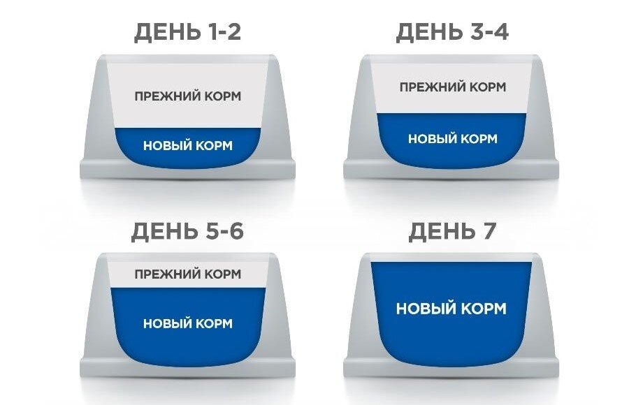 Схема перевода собаки на новый корм