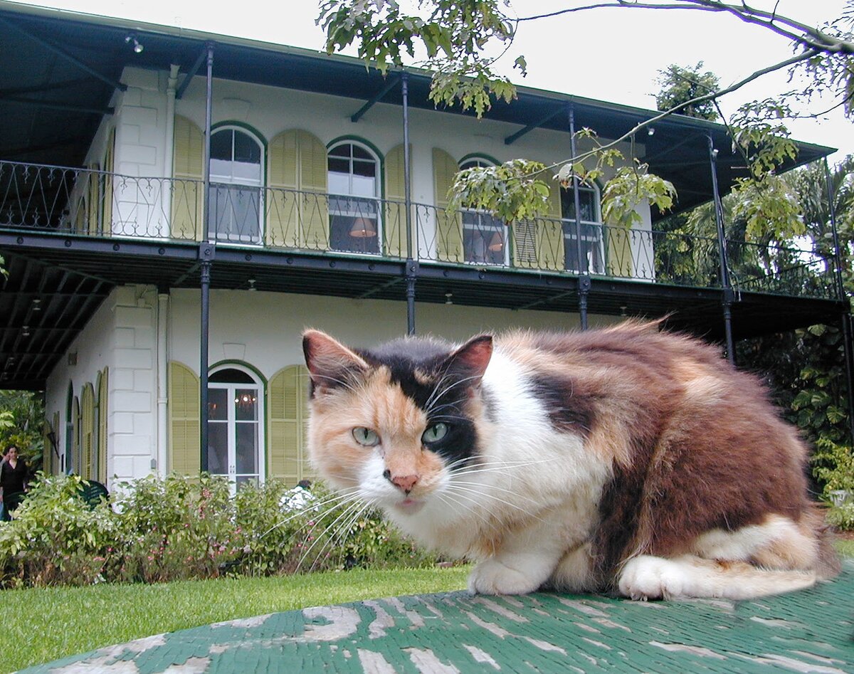 Будем благодарны за Ваши лайки и подписку, они наполняют нас энергией и обеспечивают долголетие канала. 
