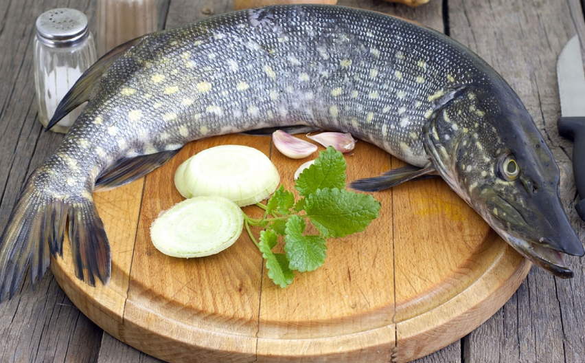 Источник Яндекс картинки