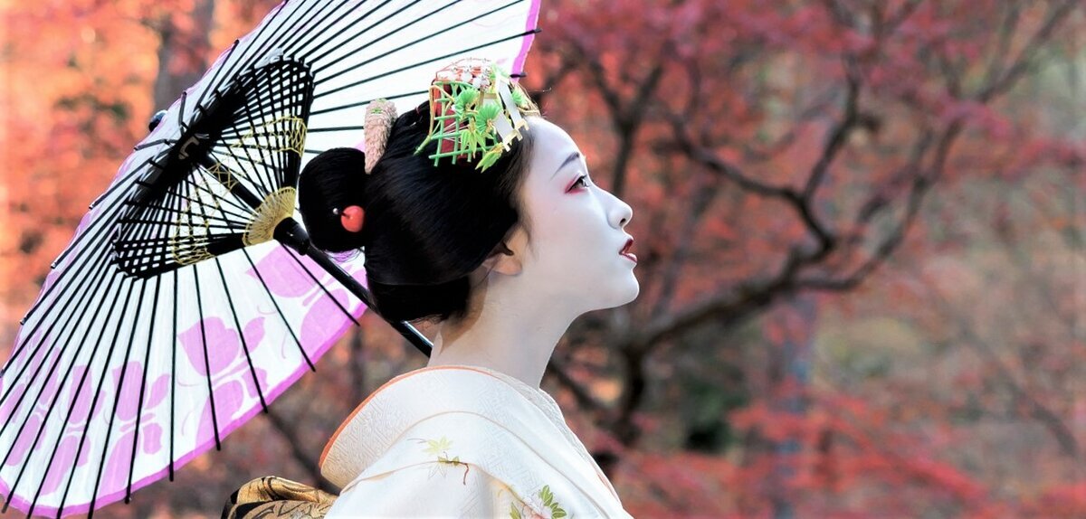 Фото с сайта: https://avatars.mds.yandex.net/get-zen_doc/2804475/pub_5febc20aadb1796a080be1a9_5febce3badb1796a08101140/scale_1200