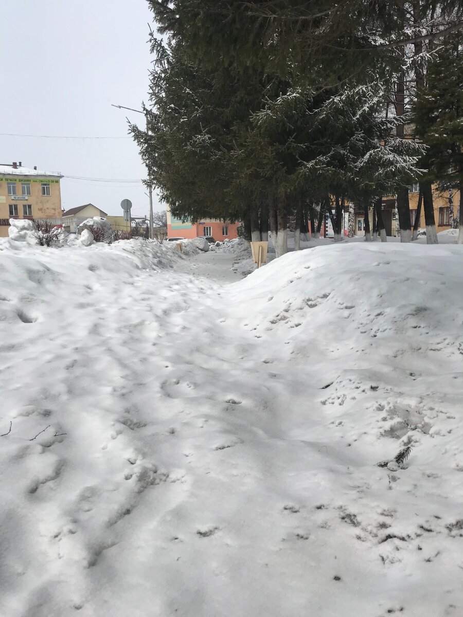 Фото, снятое на iPhone 7