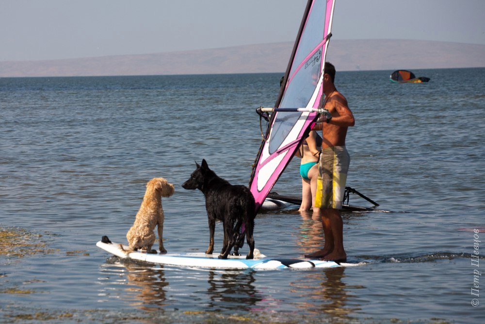 На такой доске стоять комфортно и помещаются тут все :)