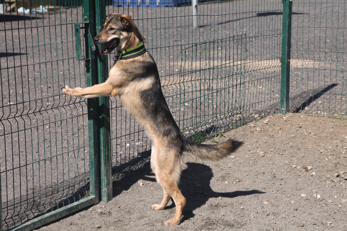 Если вы доедете к Руслане, она будет встречать вас, как будто знает сто лет