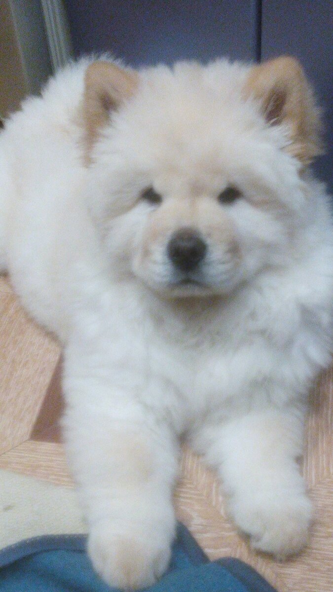 Принятие решения