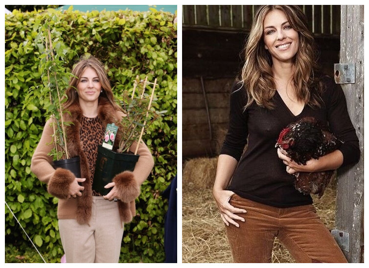 Элизабет Херли. Коллаж (фото: tmbw.ru, wday.ru)