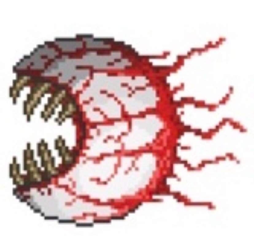 Он вам сделает кусь. Ну ничего страшного.