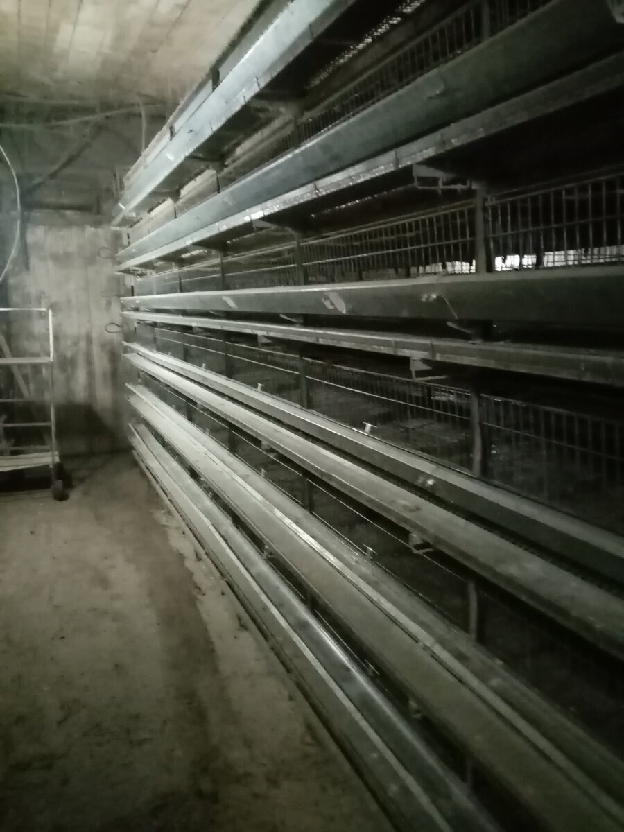 мое пустующее оборудование