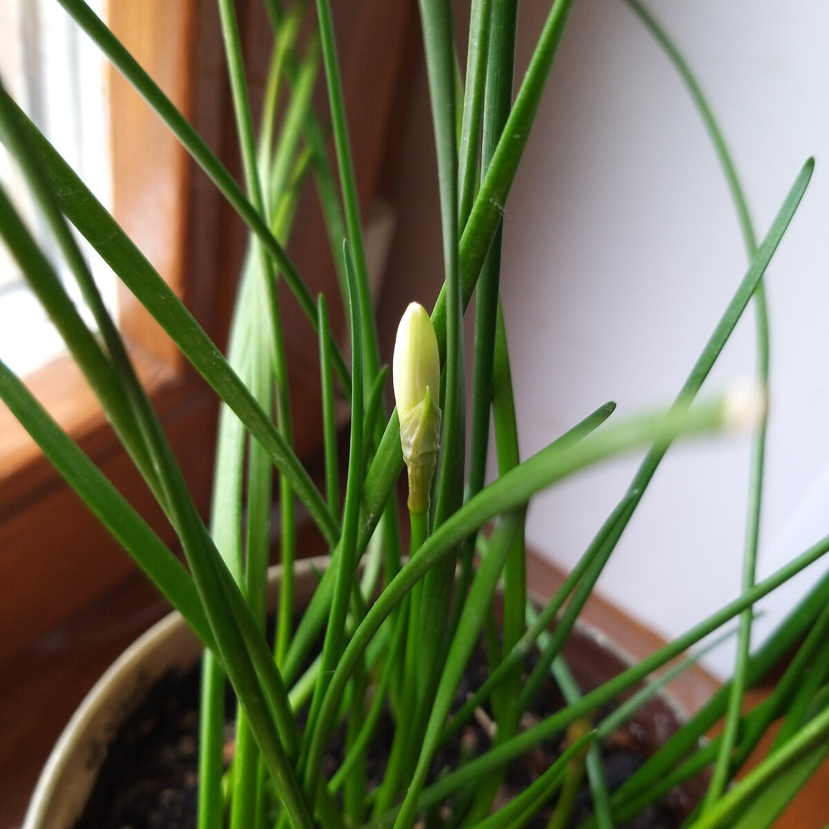 9 августа 16:01