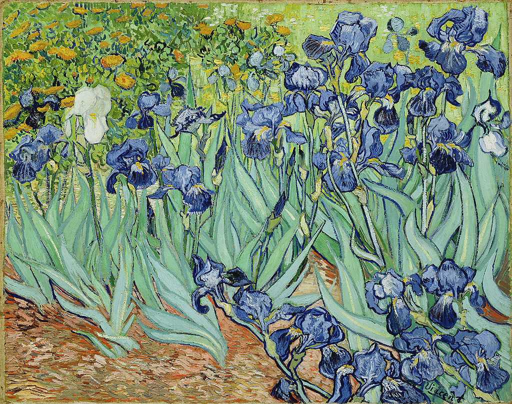 "Ирисы", 1889, Музей Гетти, Лос-Анджелес. Написана в Сен-Реми. Источник: syl.ru, wikipedia.org