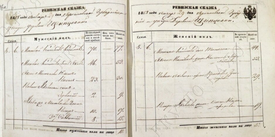 Ревизская сказка 1858 г. деревня Щипцова(о)