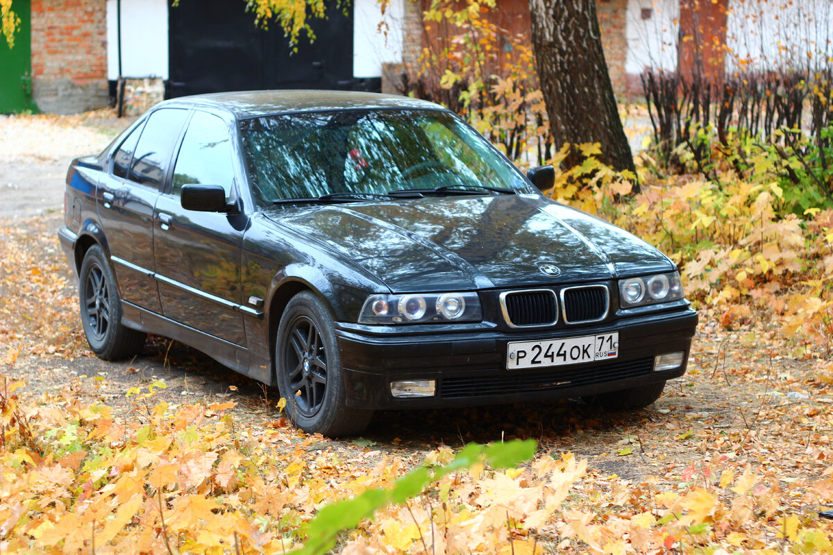 Про тачки на личном опыте. Часть 2. BMW головного мозга | Call me Den | Дзен