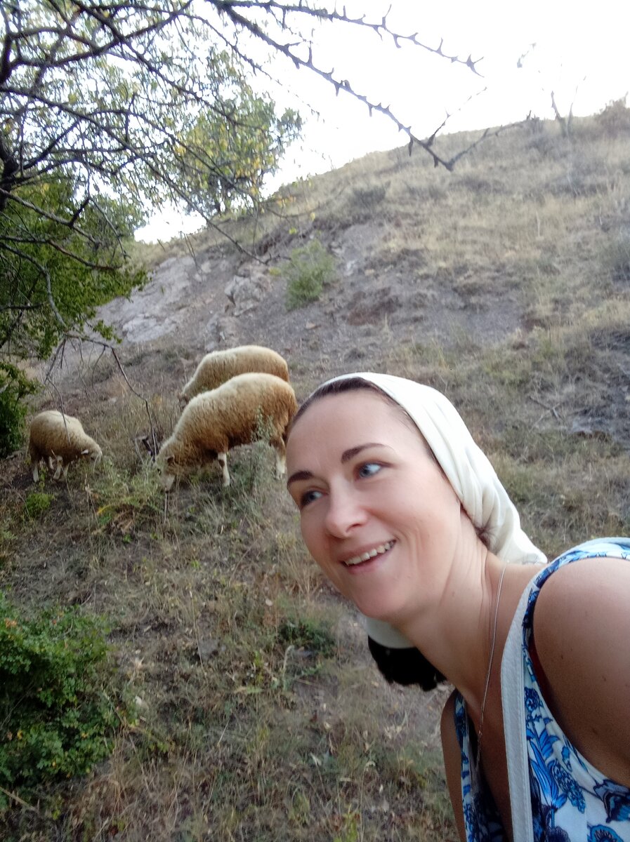 Не пускайте в свою жизнь тупых баранов, чтобы мозги вам не затоптали! Их согласие с вами - иллюзия. Психологические реакции в стрессовой ситуации непредсказуемы! 