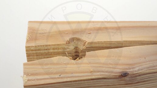 Как закрутить саморез без трещины в брусе? Проверяем на практике правила вкручивания саморезов в древесину