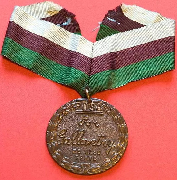 Медаль Марии Дикин – высшая воинская награда для животных в Великобритании.