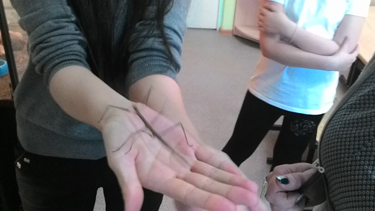 #экологическоепросвещение#палочник#педагогическаядеятельность#вкусжизни#