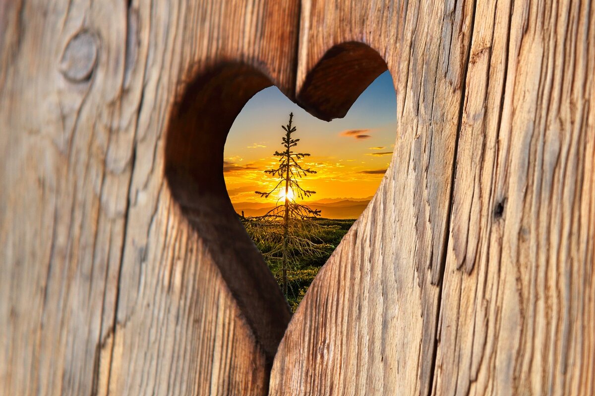 Фото с pixabay.com