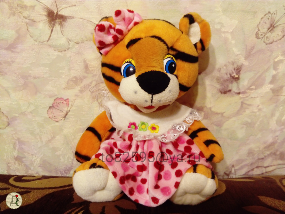 Нашему тигрёнку уже 12 лет. Фото автора 