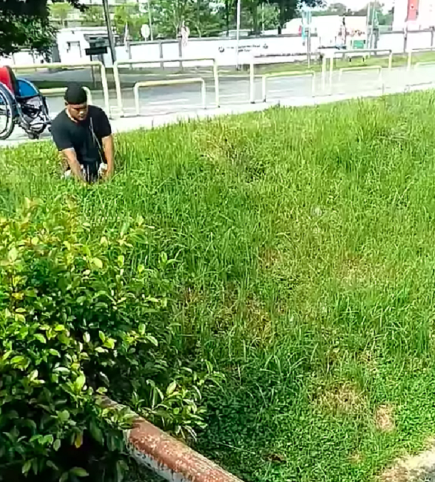 Парень полез за котиком. Источник фото: https://says.com/my/news/video-shows-man-in-wheelchair-steadily-climbing-down-a-longkang-to-save-a-kitten