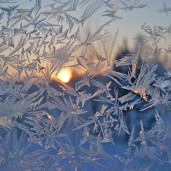 Фото из интернета.