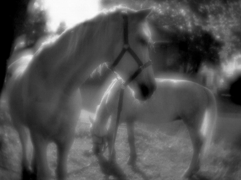 Мадина Астахова 