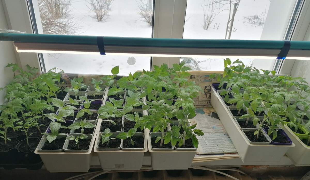                                                                                                                           Личное фото