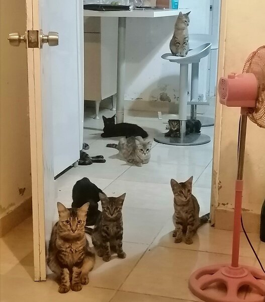 Все мои! И это ещё не все!