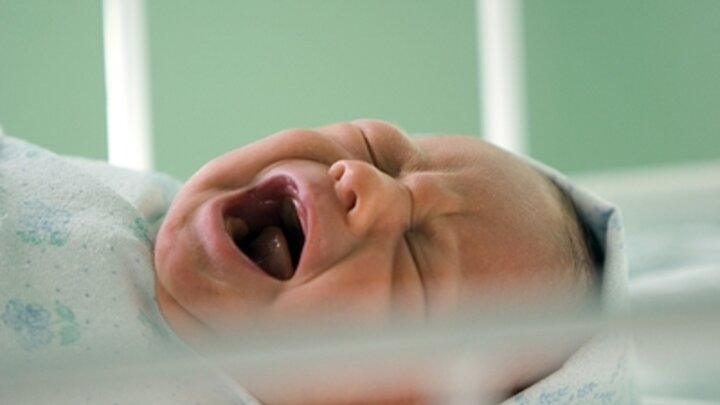 © SERGEY VORONIN /RUSSIAN LOOK/GLOBALLOOKPRESS  