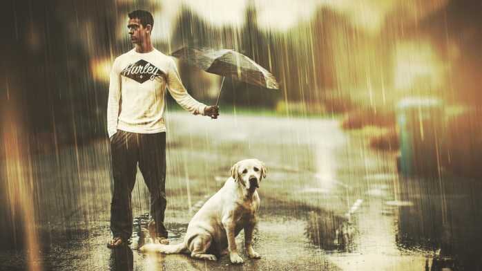 Интересные факты про Мозг