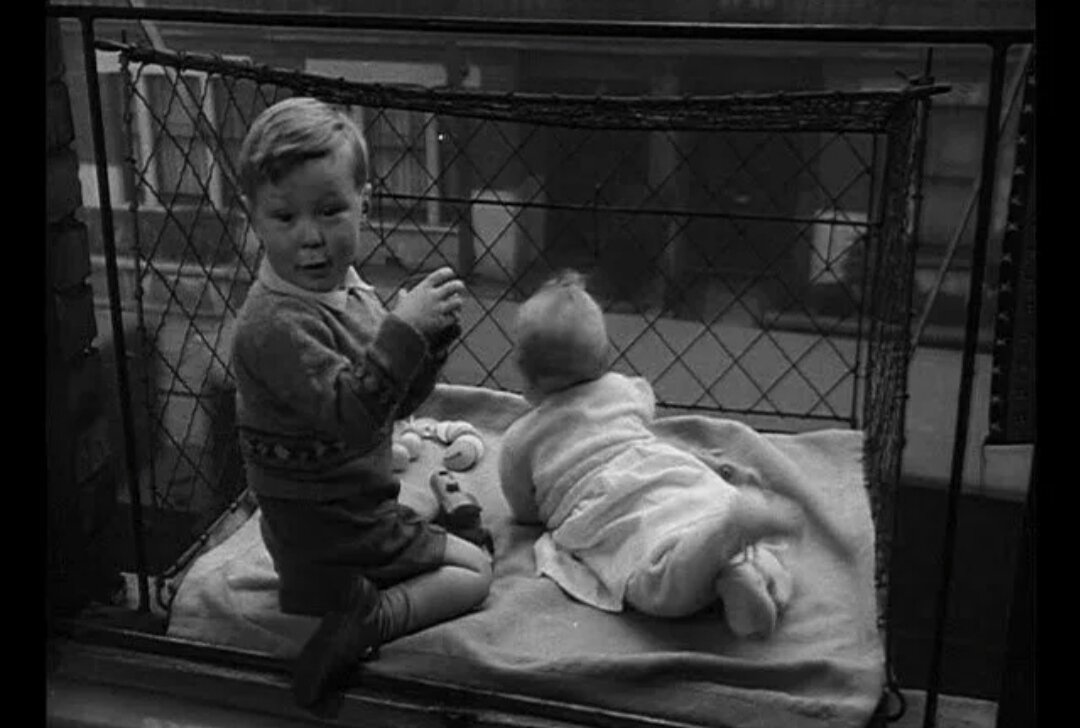 Дети в клетках 3. Клетки для выгуливания детей. Клетка для прогулок детей 1930. Клетка для детей за окном.