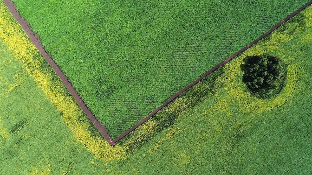    Рапс© РИА Новости . Илья Наймушин