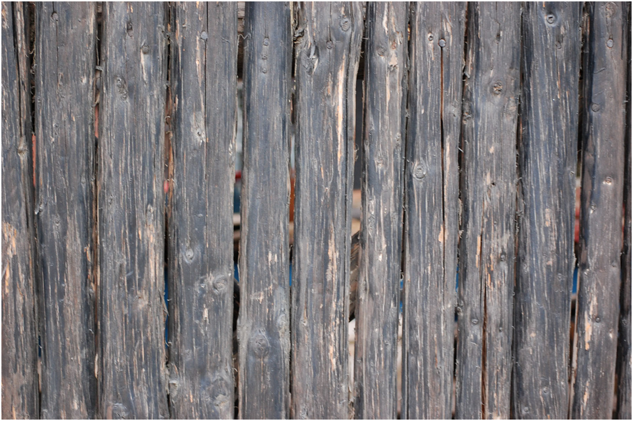 Картинка взята с ресурсов интернета свободного доступа