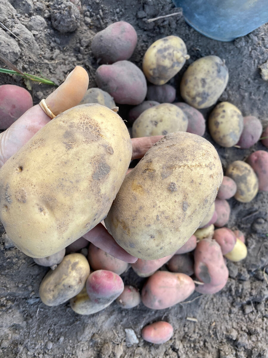 Личное фото 