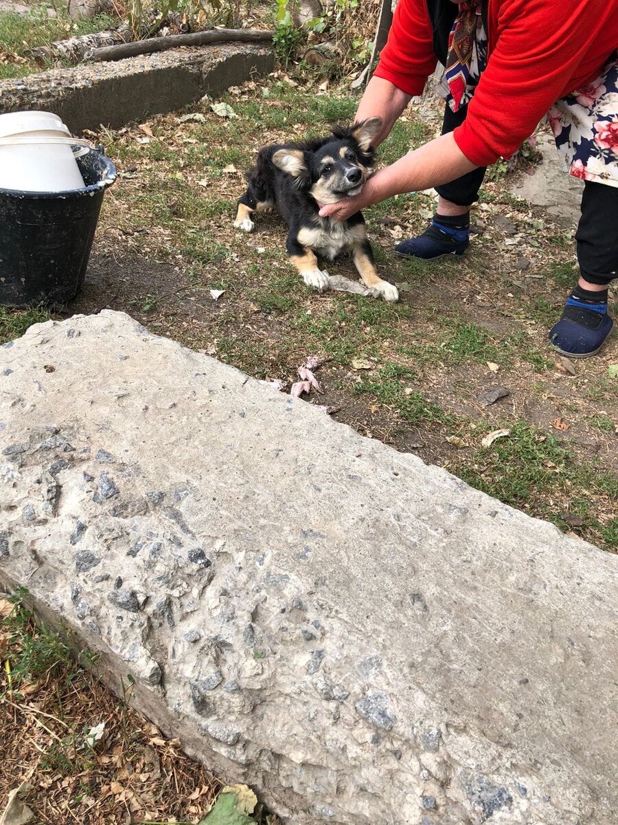 Фото до трагедии