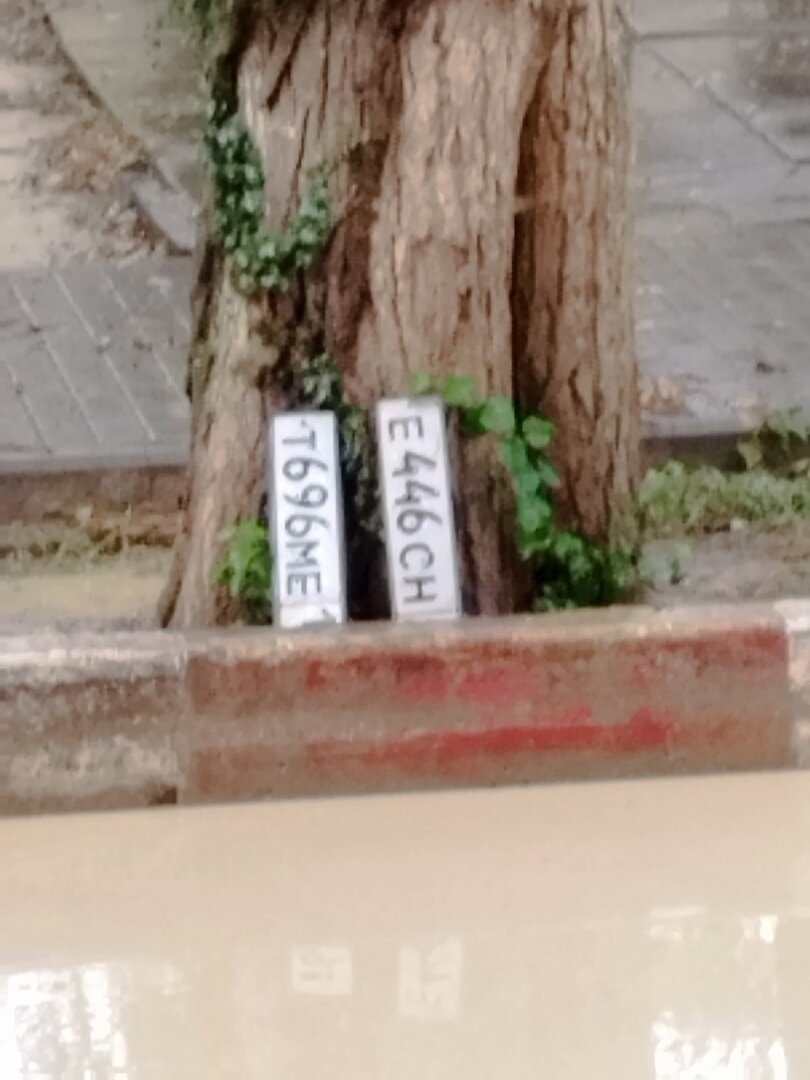 Фото: Лена Захарова