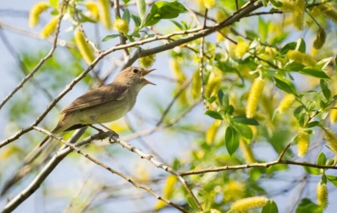 Фото из открытых источников 