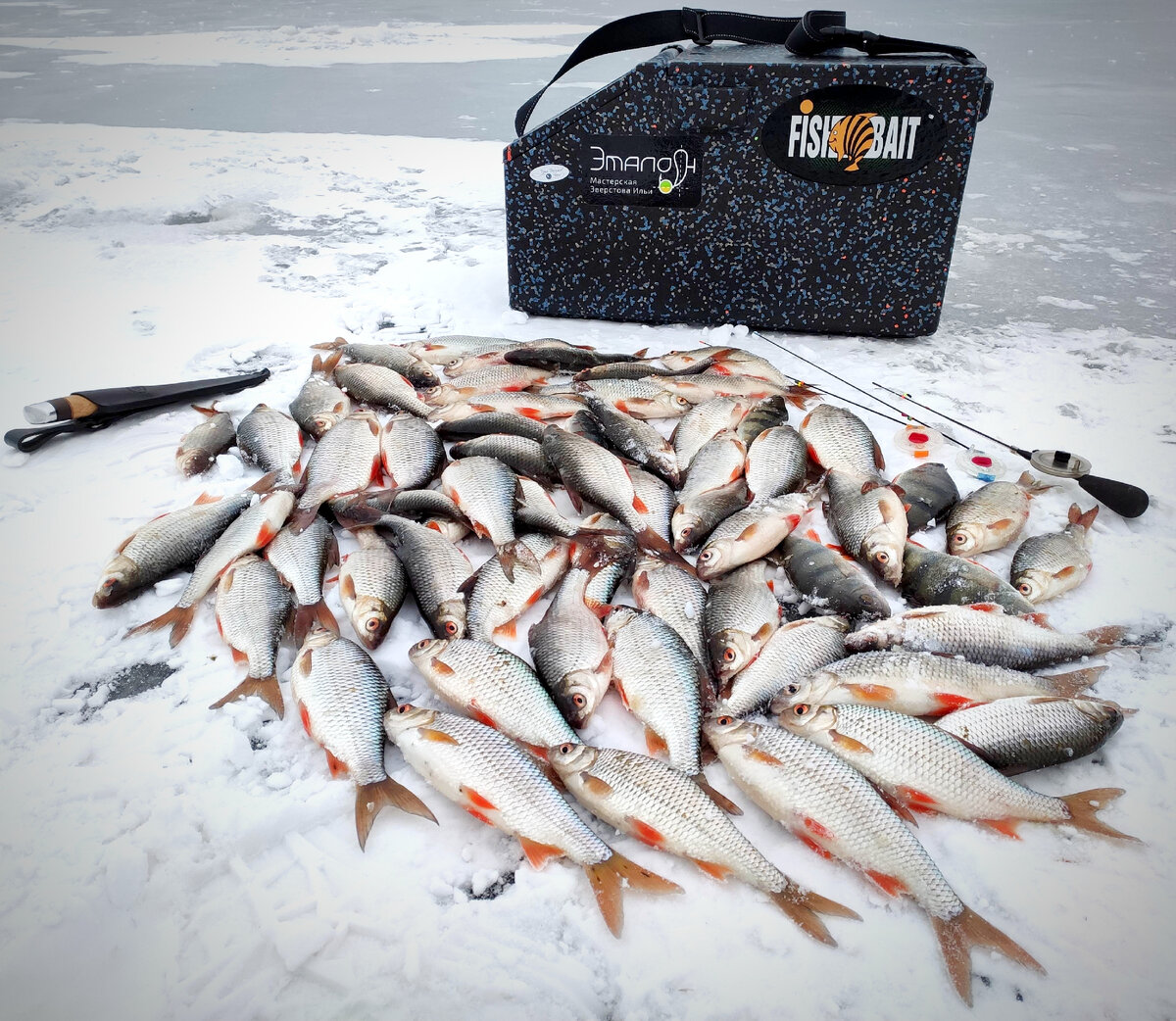 На это можно смотреть безконечно, правда?