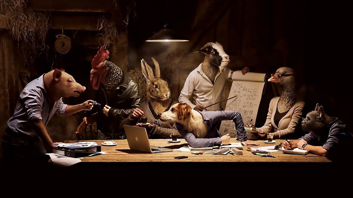 Фото взято из свободного доступа сети Интернет