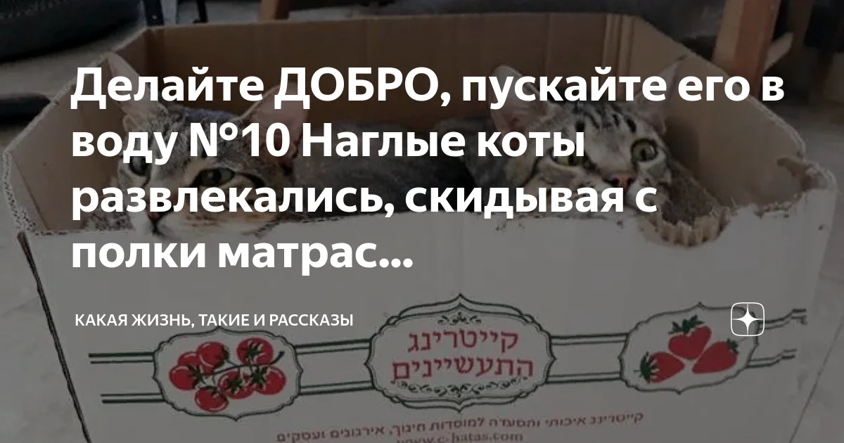 Очень добрая публикация