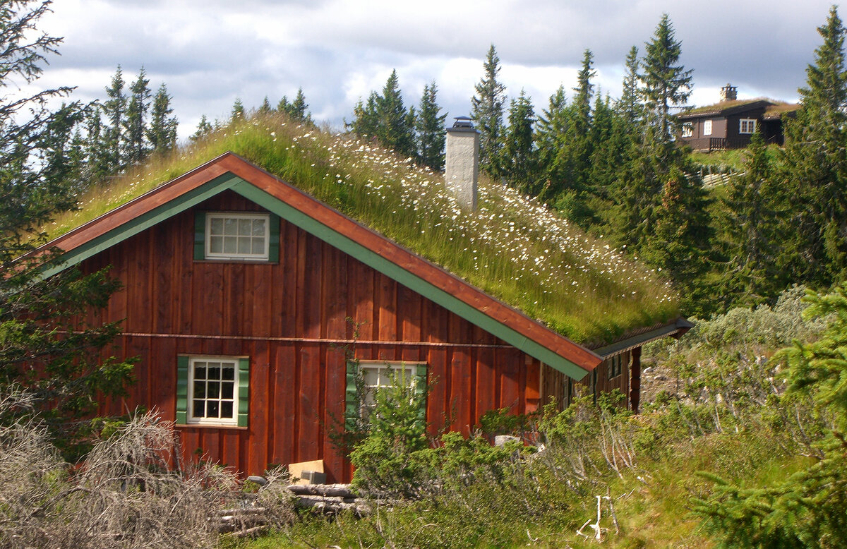 Зеленая кровля Скандинавия. Зеленые крыши Приозерск. Зеленая кровля Норвегия. Крыша из дерна.