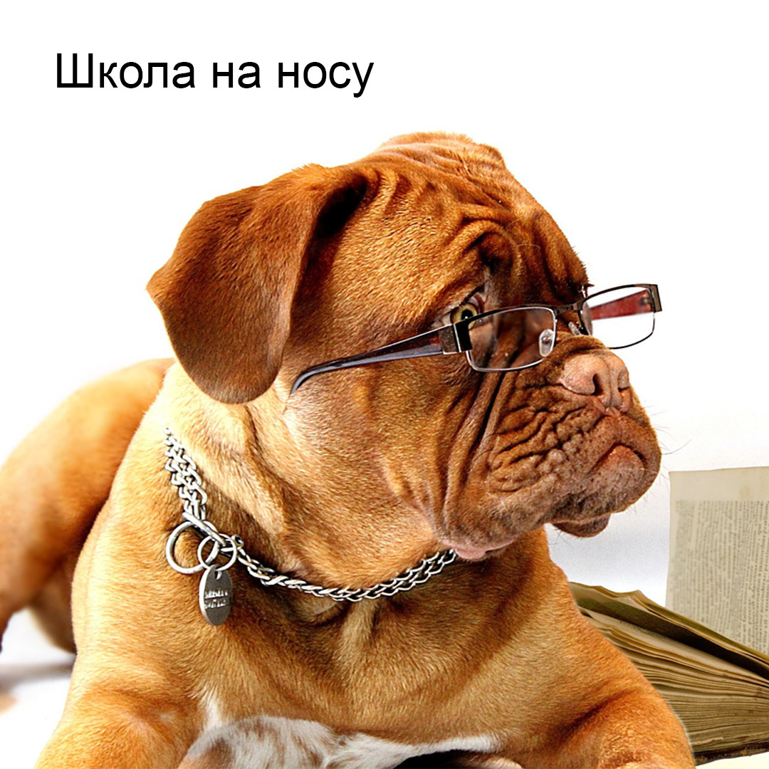 фотография из фотостока