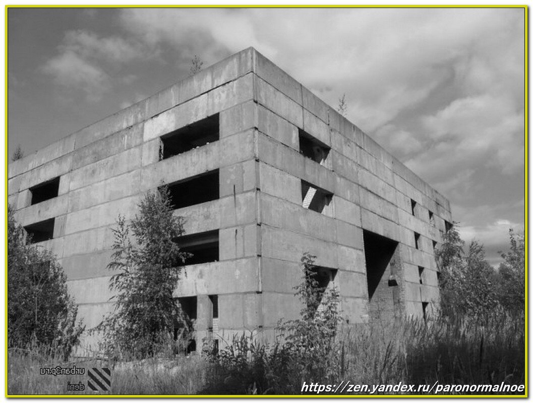 Источник фото: https://urban3p.ru/vivarium/8571