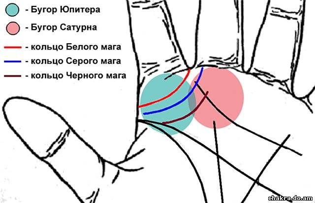 Линия между указательным и средним