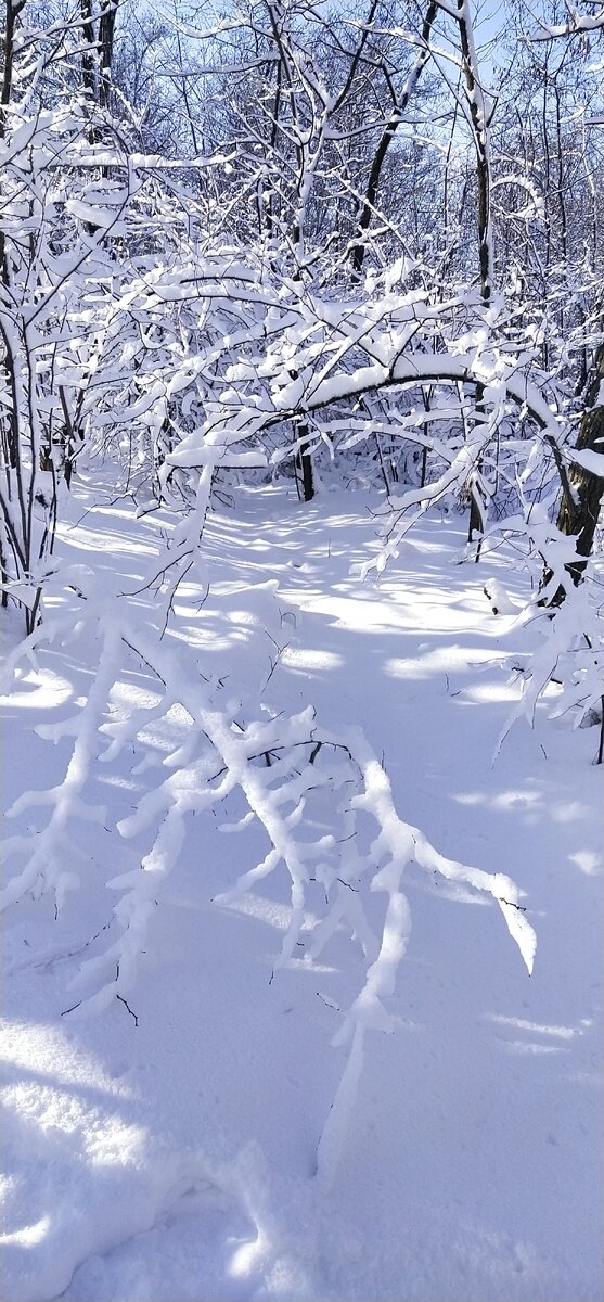 Хочется снежной сказки❄️☃️