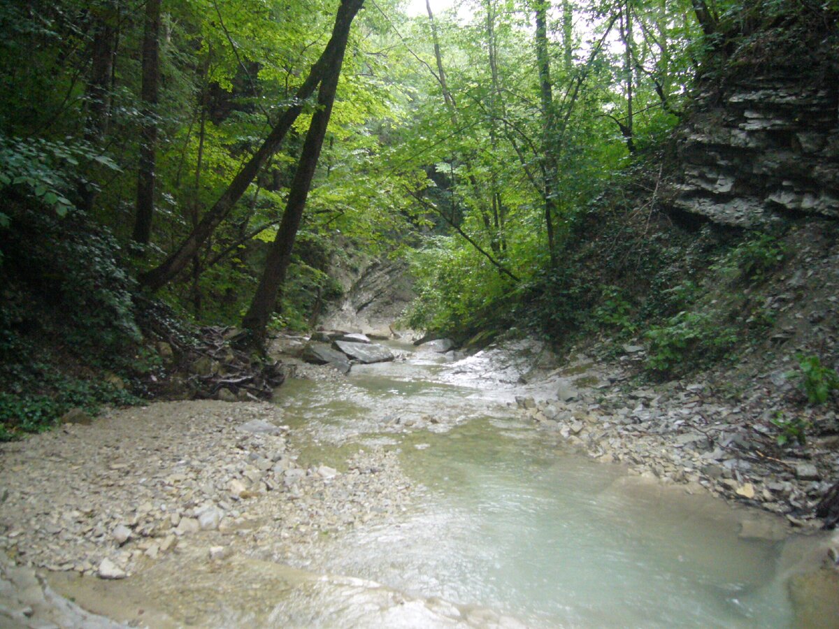 Горная речка на Кавказе