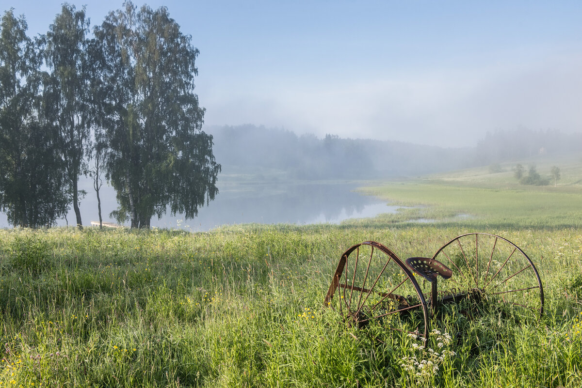 Несколько красивых фотографий из средней полосы России.