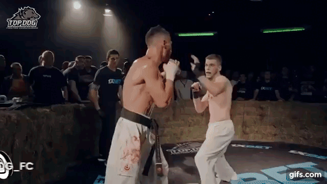 Gif с ютуб канал "Top Dog"  