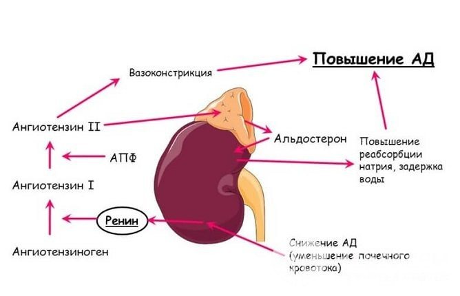 картинка взята из интернет источника