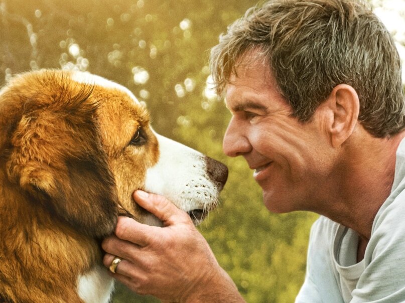 Кадр из фильма