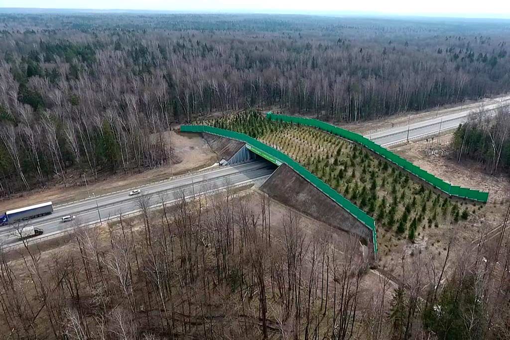 Экодук в Калужской области ( Яндекс картинки)