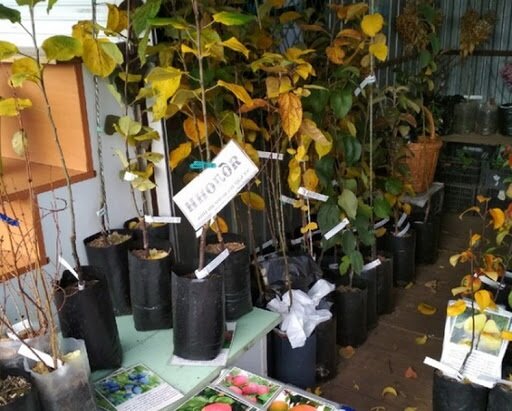 На нашем рынке 